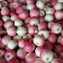 138-198 # Pomme de Gala Rouge avec Carton de 20kg